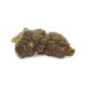Local Skunk - Image 3