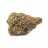 Sour Gas