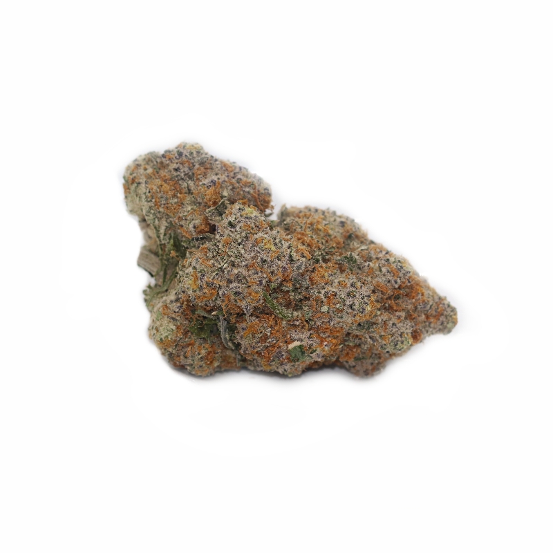 Golden Triangle - Image 6