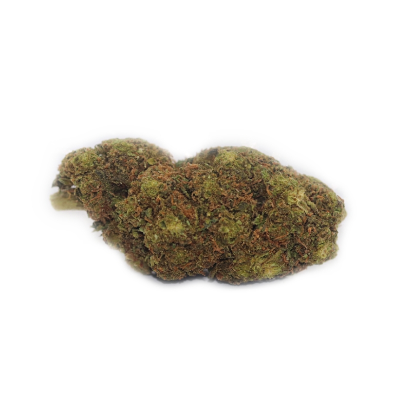 Ghosts Dream (BULK)