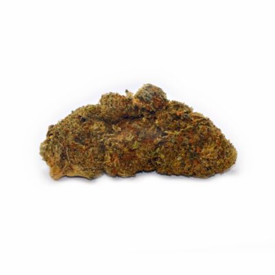 Sensi Star