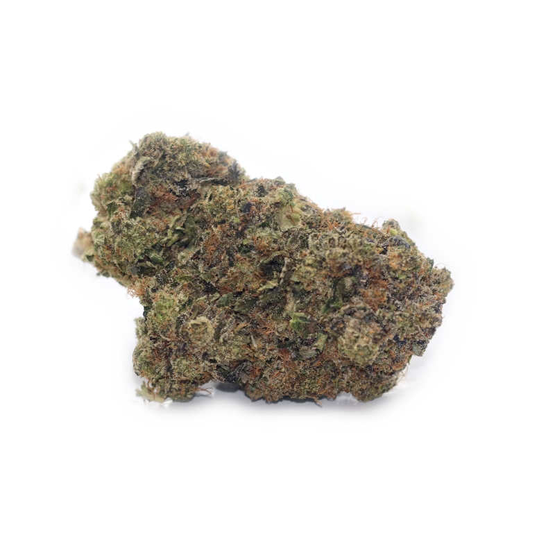 Platinum Rockstar