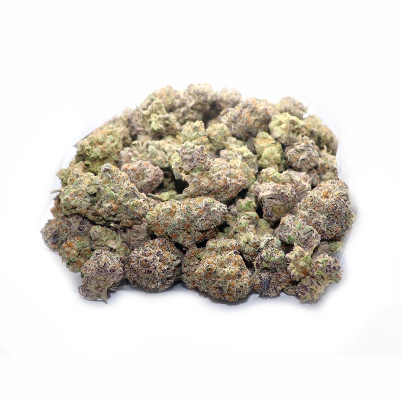 Forbidden Gusherz (BULK) - Image 2