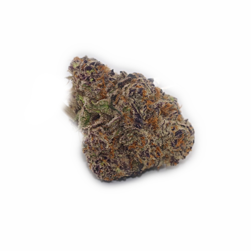 Forbidden Gusherz (BULK) - Image 3
