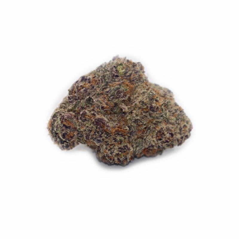 Forbidden Gusherz (BULK) - Image 5