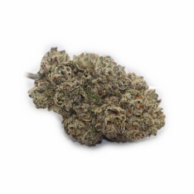 Ghost Gelato